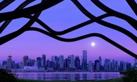 世界拳击锦标赛选手权益保护细则出台，世界拳击冠军奖金多少
