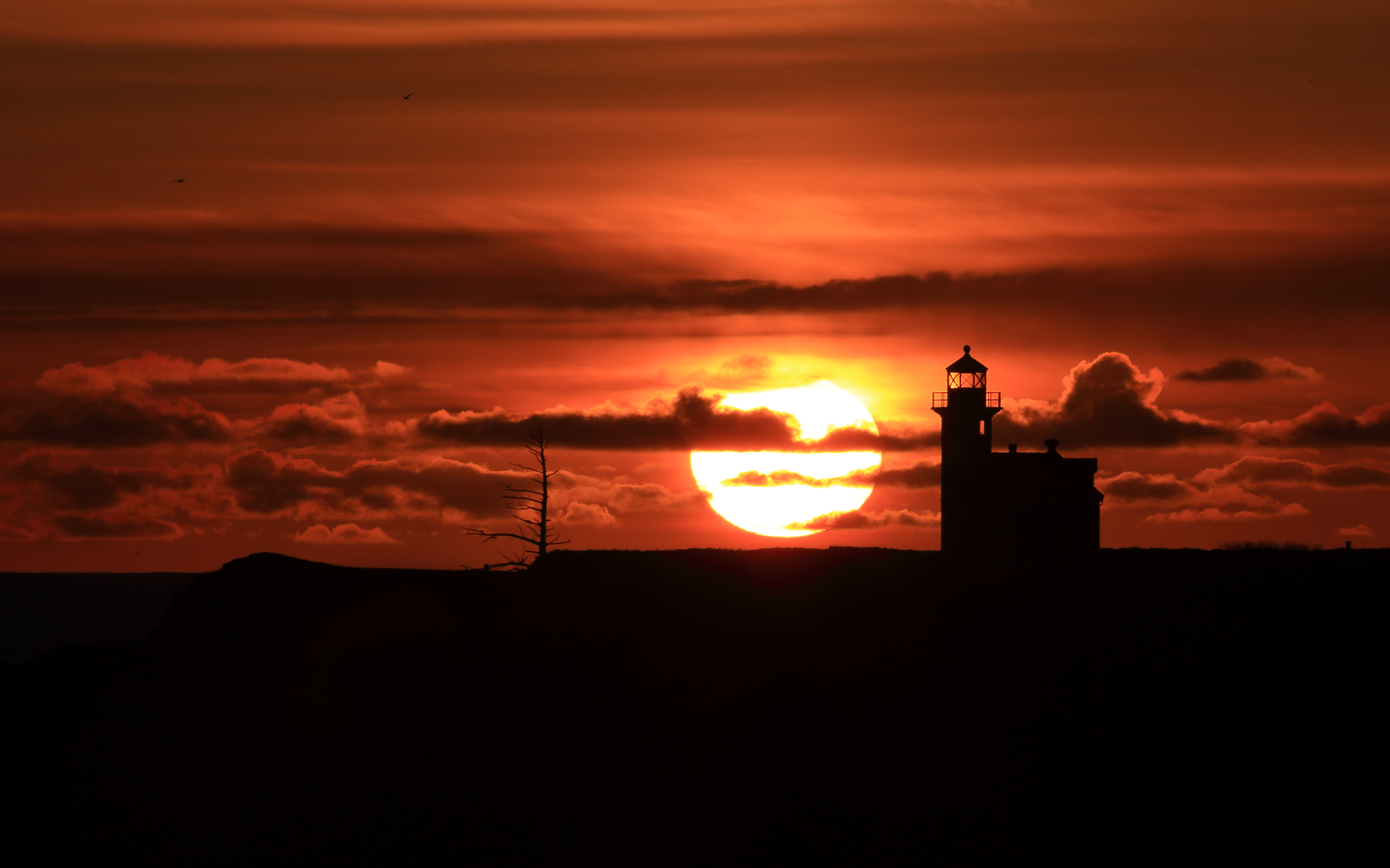 世界拳击职业联赛赛季后球员数据平台上线,2020年世界拳击